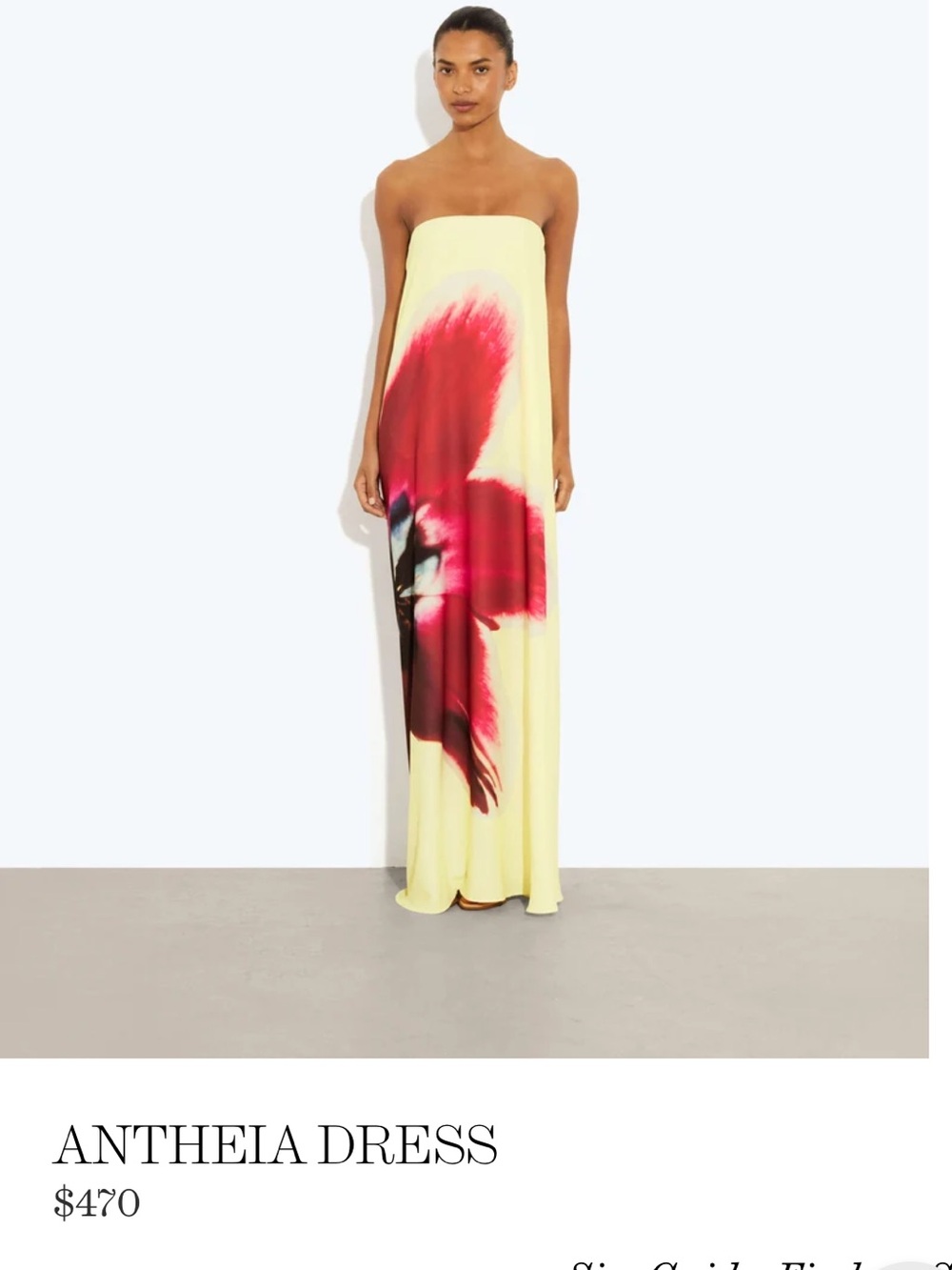 Rat & Boa Antheia Dress - XXS/XS - NWT